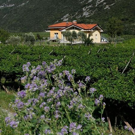 Appartamenti Al Vigneto Dro Exterior foto
